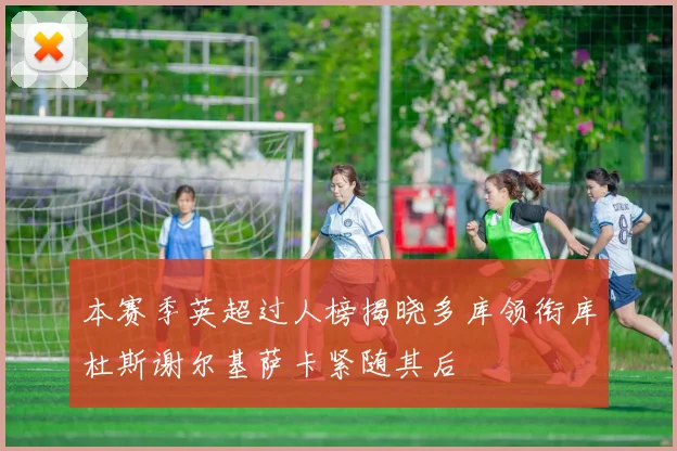 本赛季英超过人榜揭晓多库领衔库杜斯谢尔基萨卡紧随其后