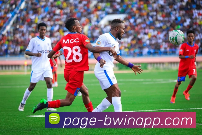 平台展示图